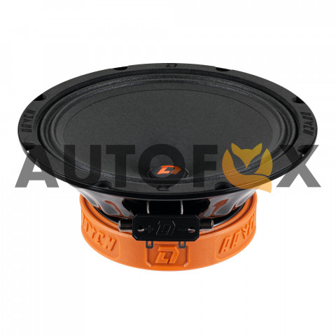 DL Audio Raven 200 v2 (20см RMS-125Вт/4Ом)